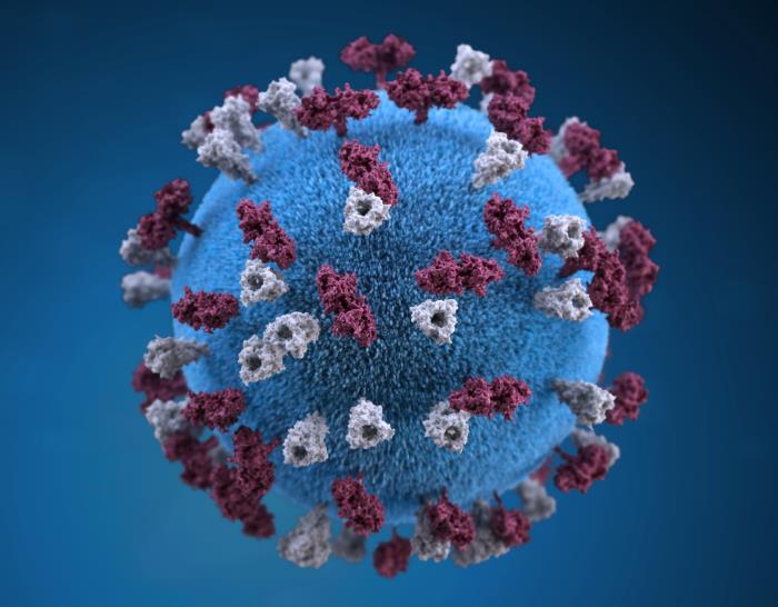 measlesvirus